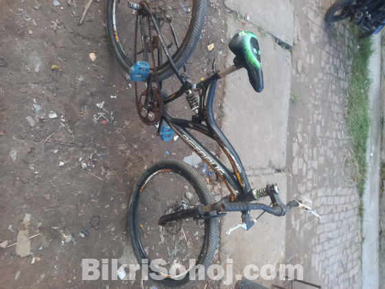 Cycle